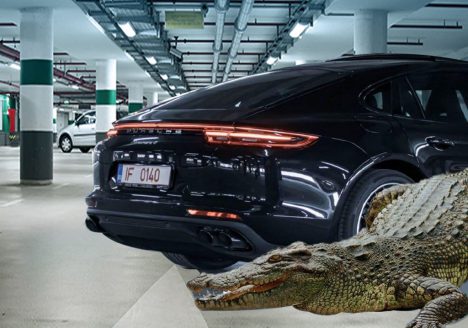 استفاده از حیوانات در طراحی خودرو